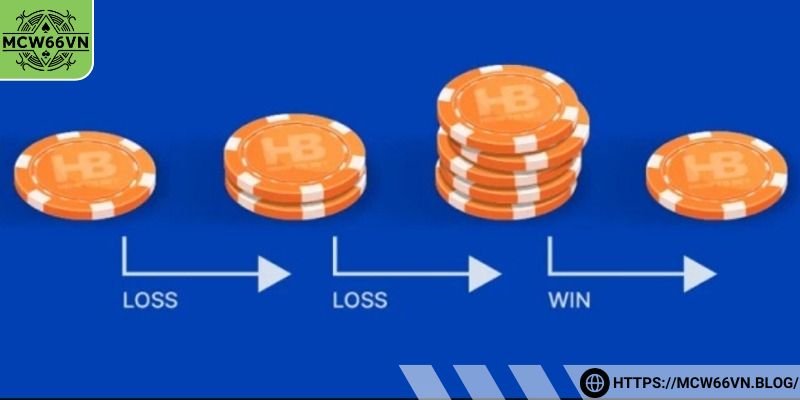 Cách bắt cầu xóc đĩa chuẩn xác nhất cho tân binh